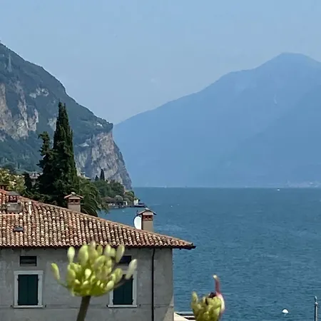Daire Terrazza Paradiso *